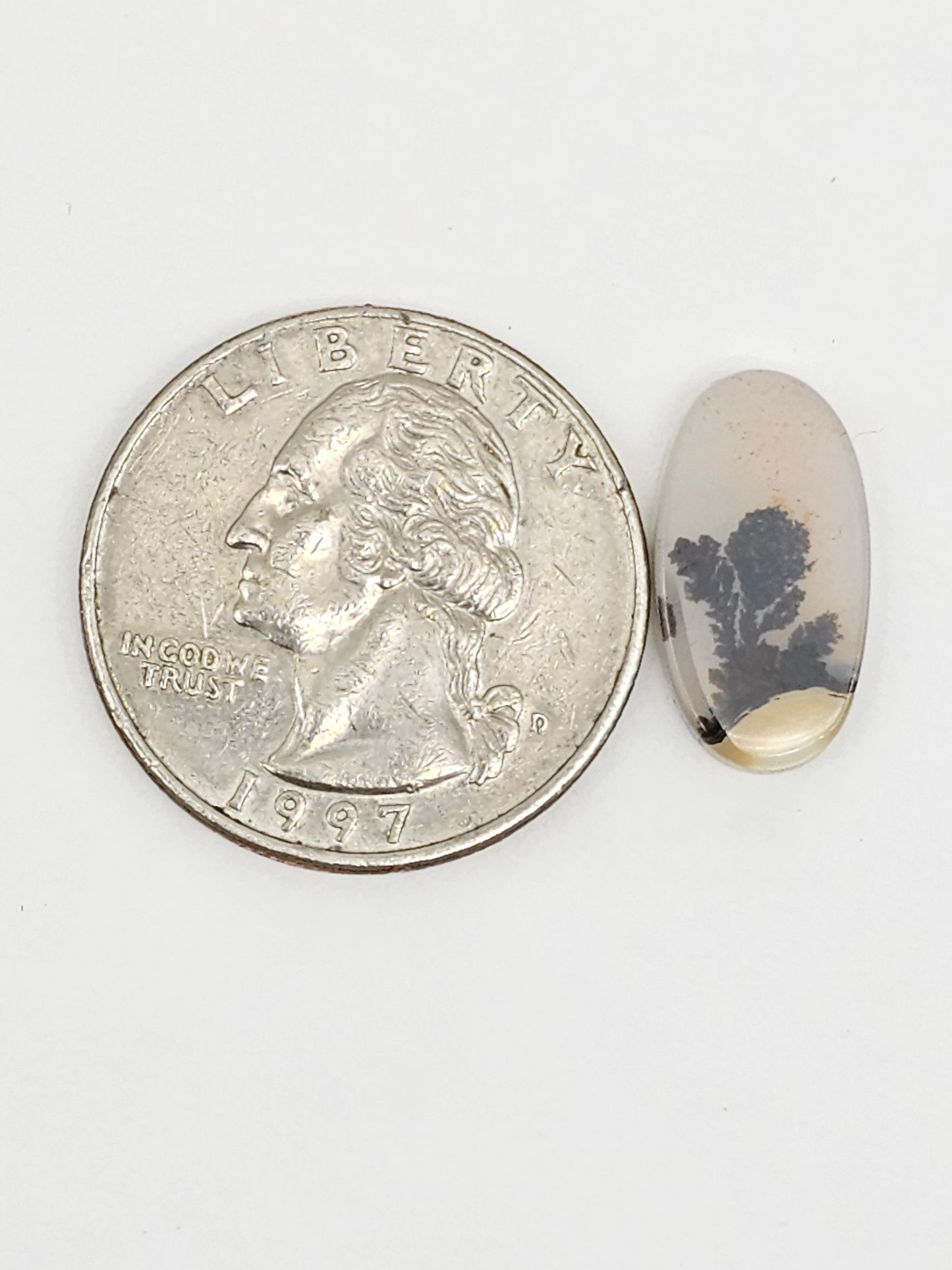 Scenic Dendritic Agate Cabochon – Natural Landscape Stone