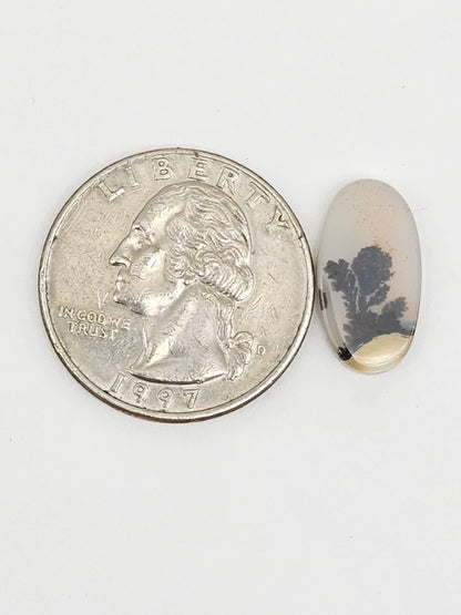 Scenic Dendritic Agate Cabochon – Natural Landscape Stone