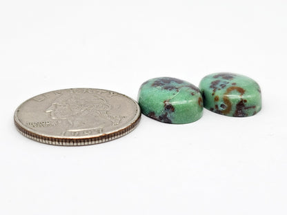 Mexican Variscite Pair Cabochons | Natural Green Gemstone Matched Pair