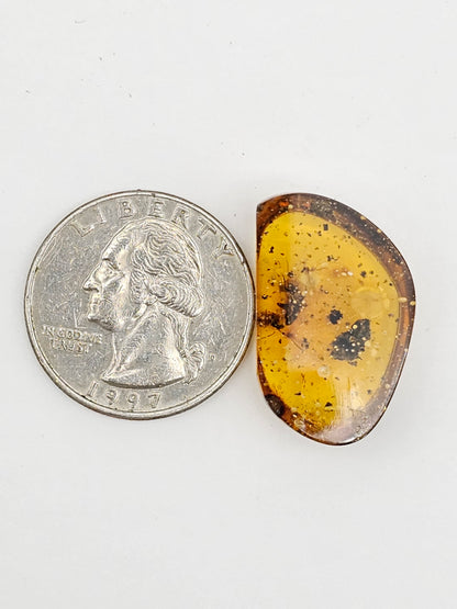Real amber with insect inclusion