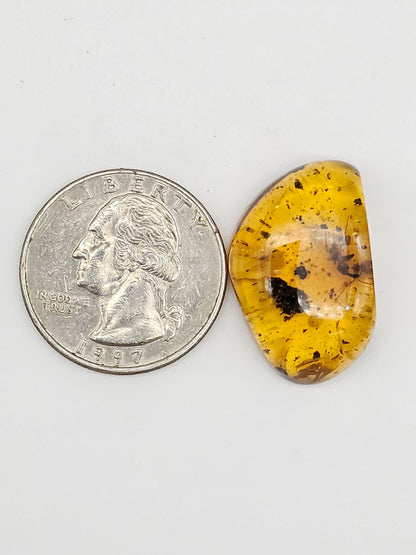 Real amber with insect inclusion