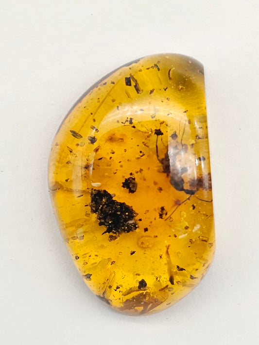Real amber with insect inclusion
