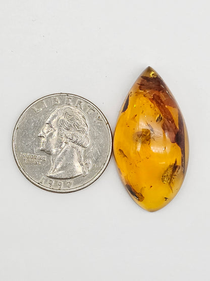 Real amber with insect inclusion