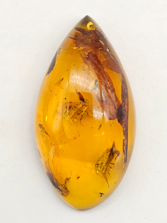 Real amber with insect inclusion