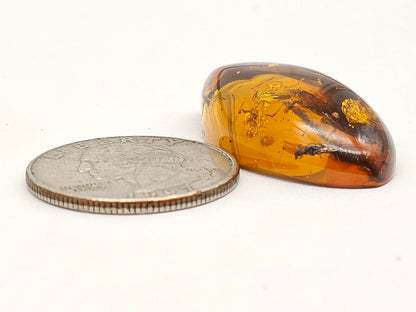 Real amber with insect inclusion