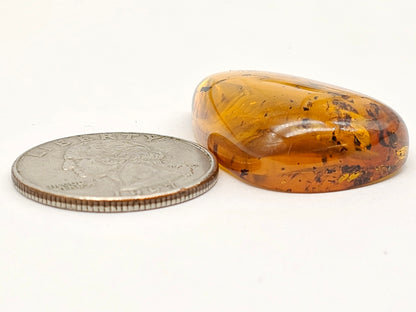 Real amber with insect inclusion