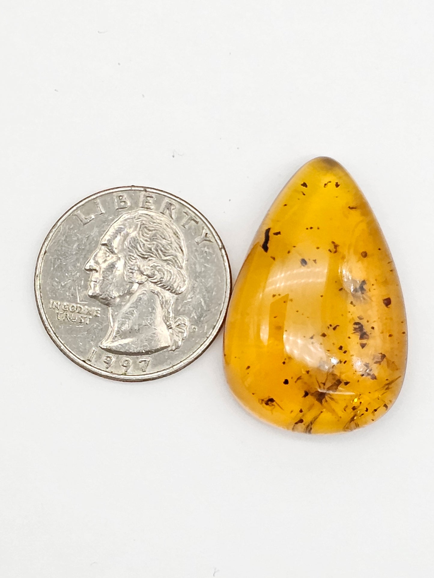 Real amber with insect inclusion