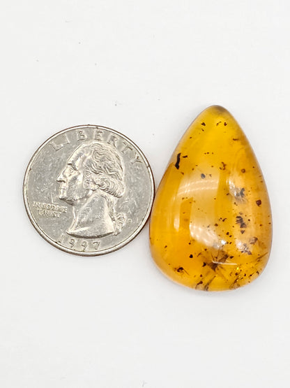 Real amber with insect inclusion
