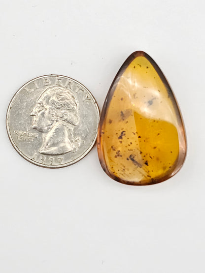 Real amber with insect inclusion