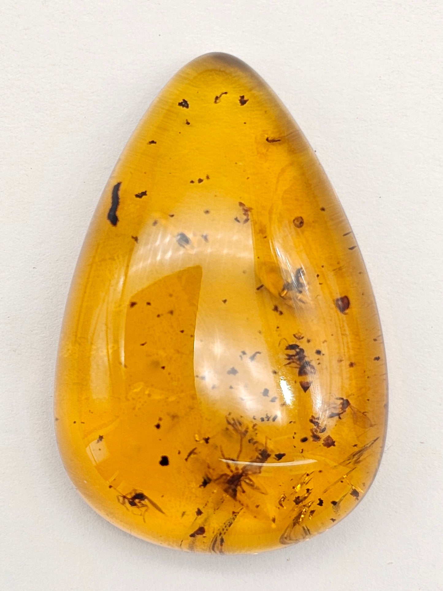 Real amber with insect inclusion