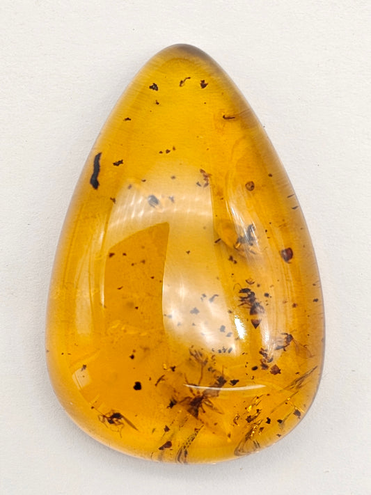 Real amber with insect inclusion