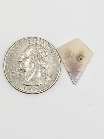 Scenic Dendritic Agate Cabochon – Natural Landscape Stone
