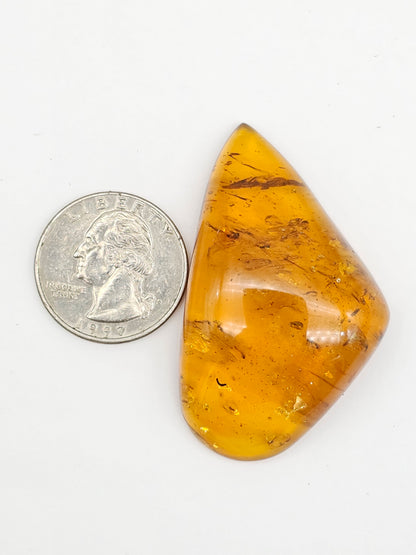 Real amber with insect inclusion