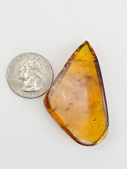 Real amber with insect inclusion