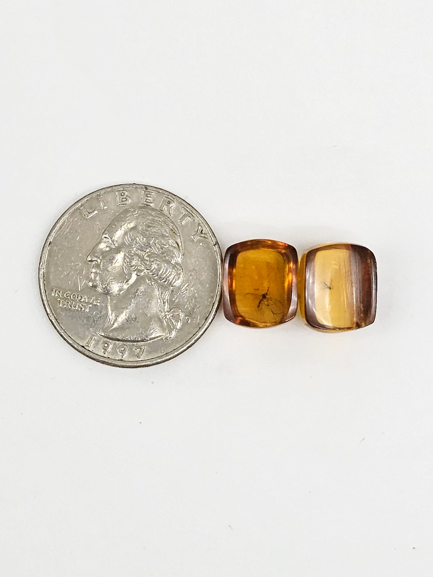 Real amber with insect inclusion pair