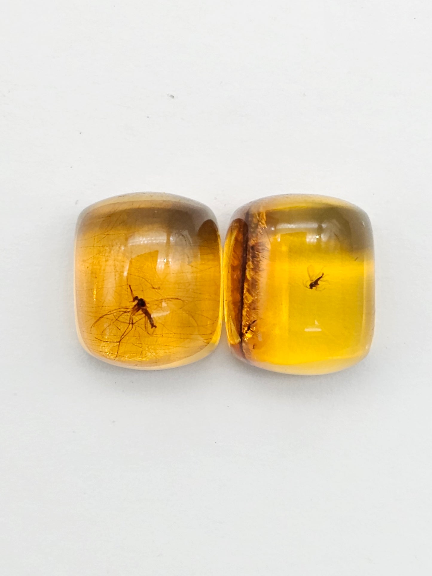 Real amber with insect inclusion pair