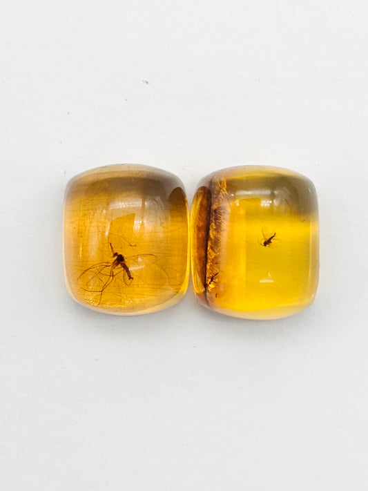 Real amber with insect inclusion pair