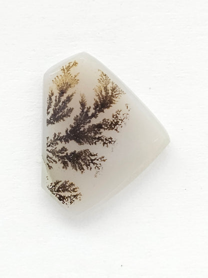 Scenic Dendritic Agate Cabochon – Natural Landscape Stone