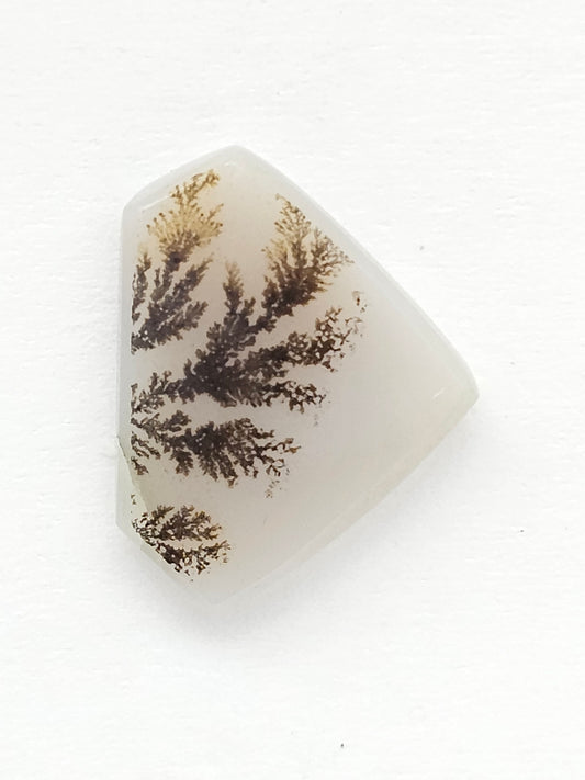 Scenic Dendritic Agate Cabochon – Natural Landscape Stone