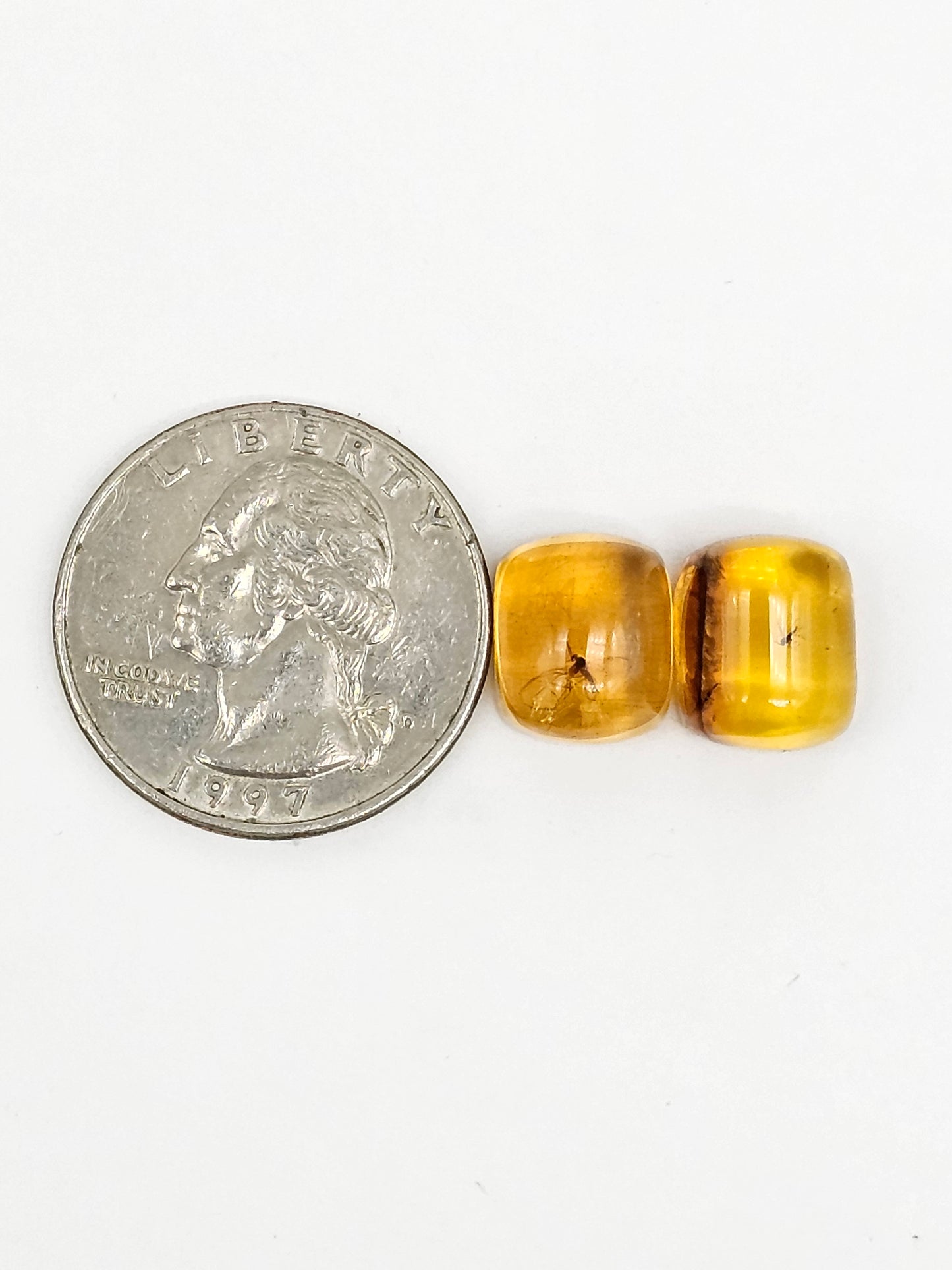 Real amber with insect inclusion pair