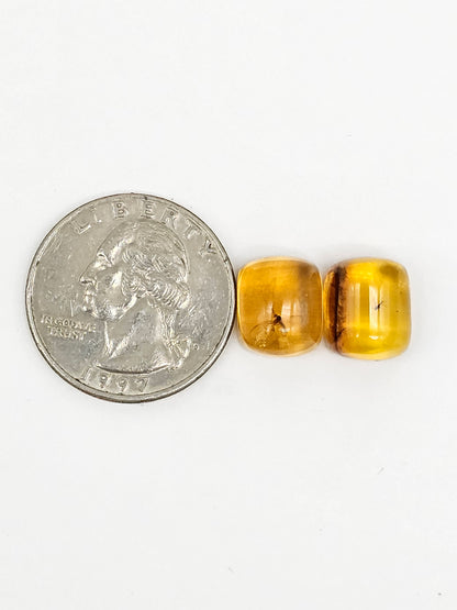 Real amber with insect inclusion pair