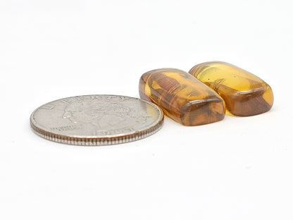 Real amber with insect inclusion pair