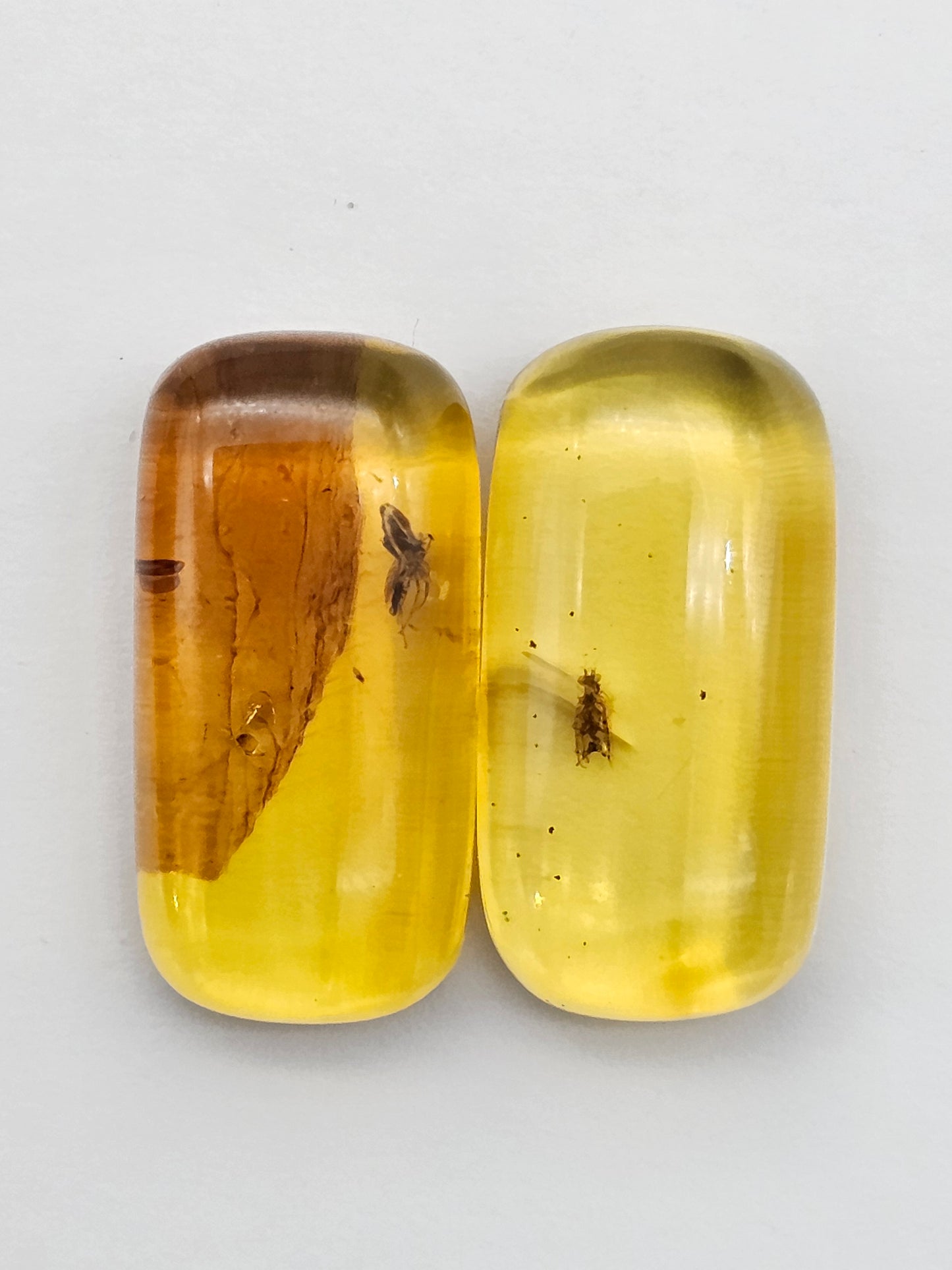 Real amber with insect inclusion pair