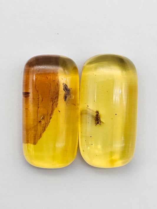 Real amber with insect inclusion pair