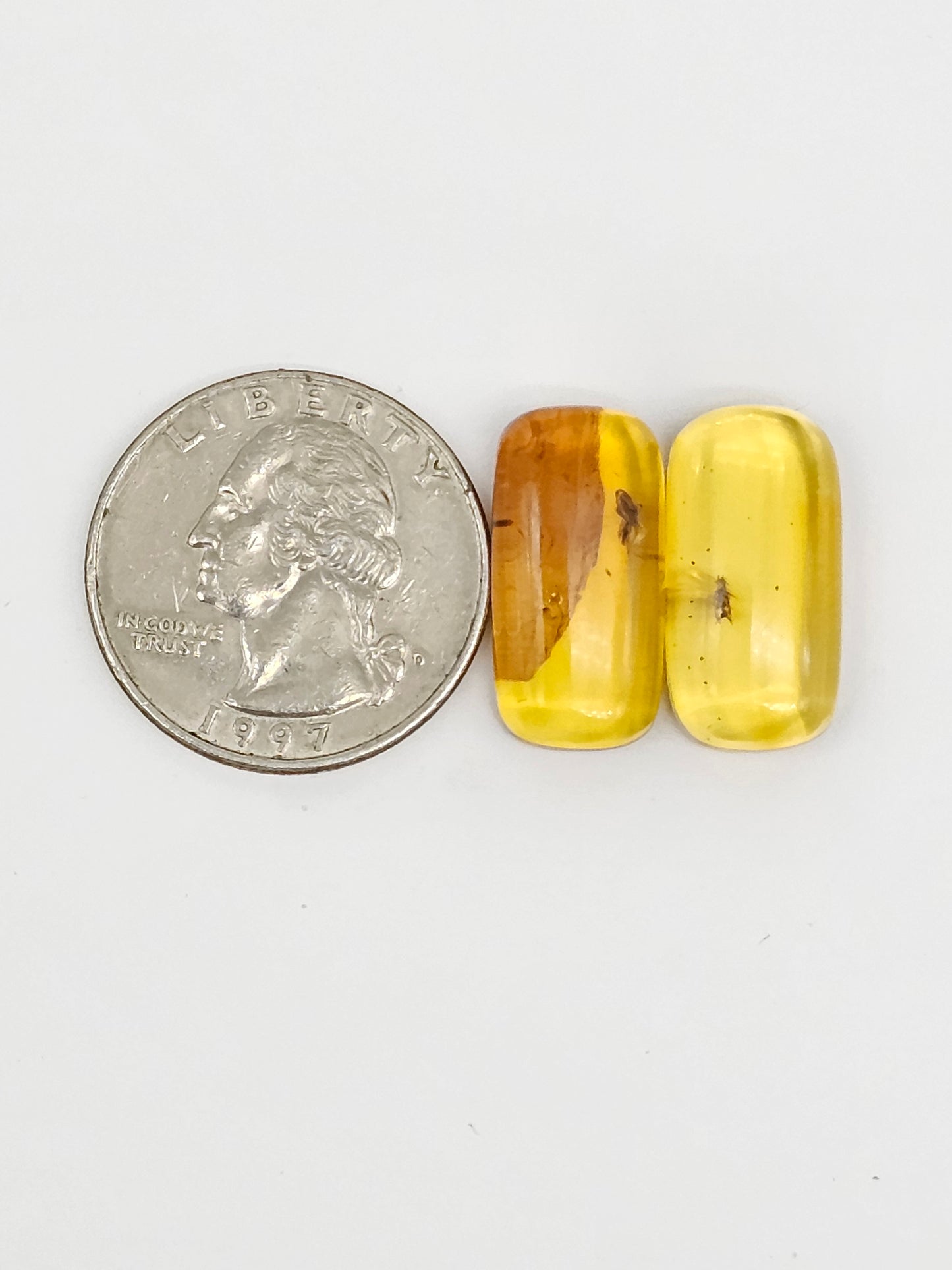Real amber with insect inclusion pair