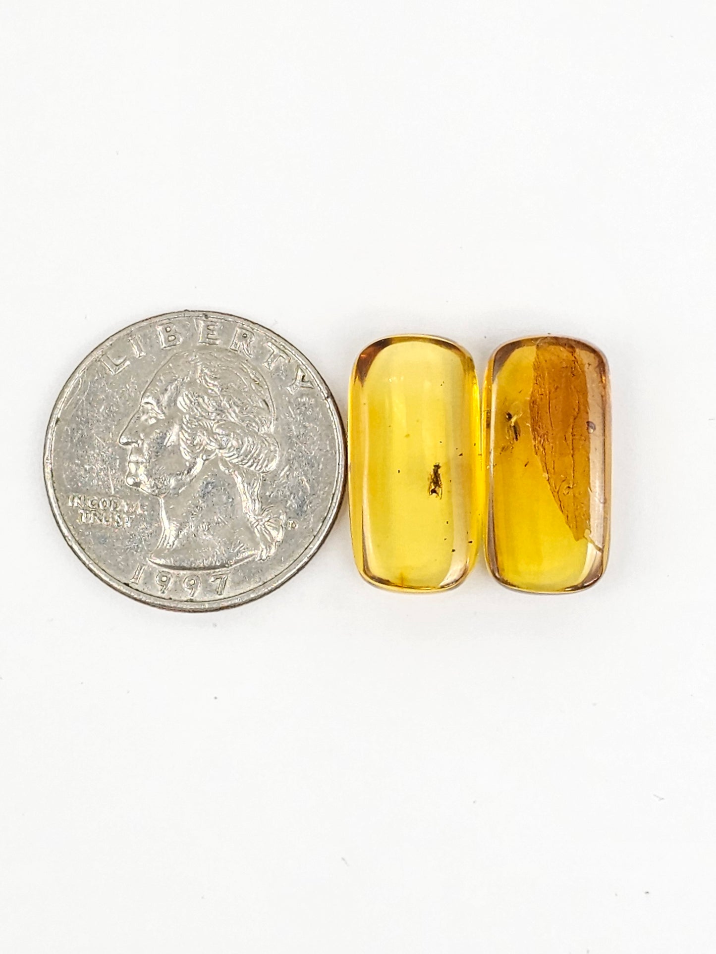 Real amber with insect inclusion pair