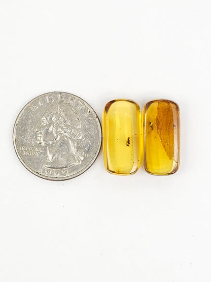 Real amber with insect inclusion pair