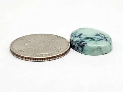 Mexican Variscite Cabochon | Natural Green Gemstone Matched