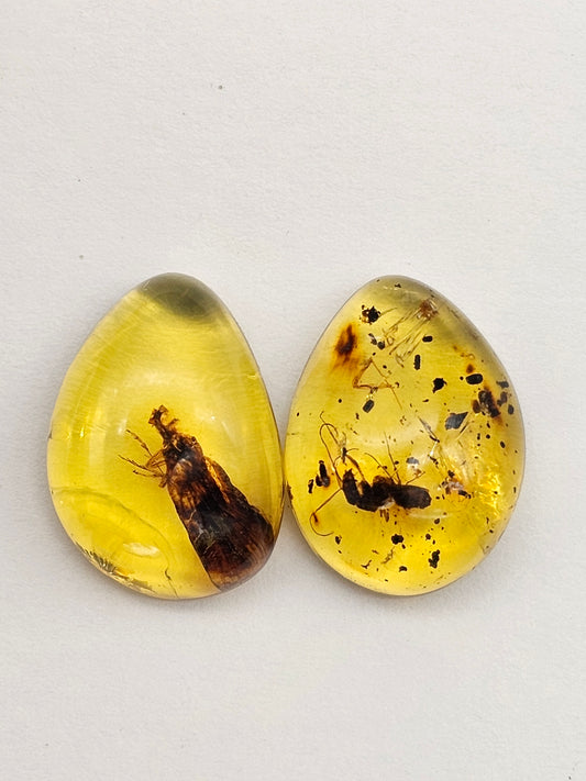 Real amber with insect inclusion pair