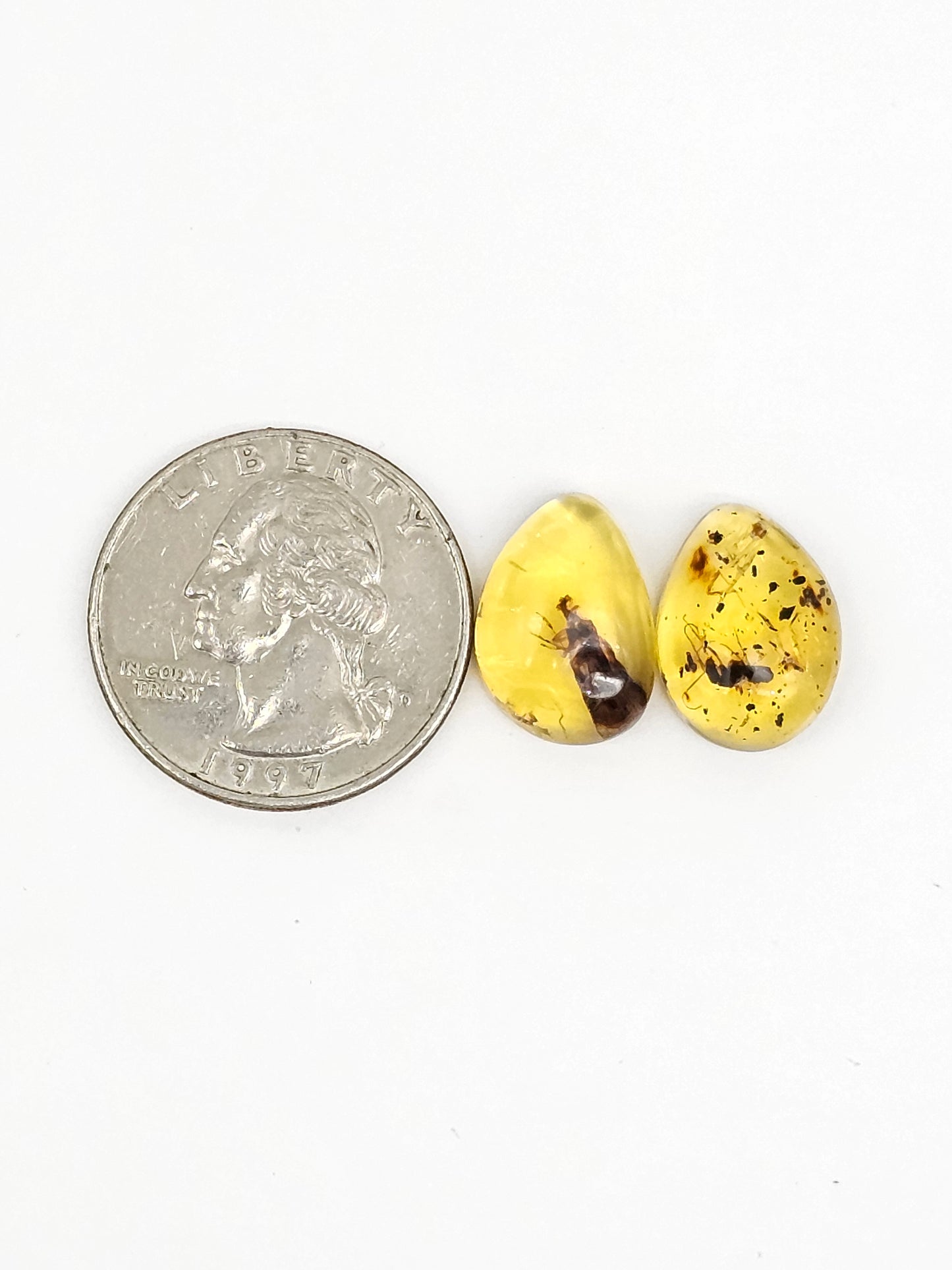Real amber with insect inclusion pair