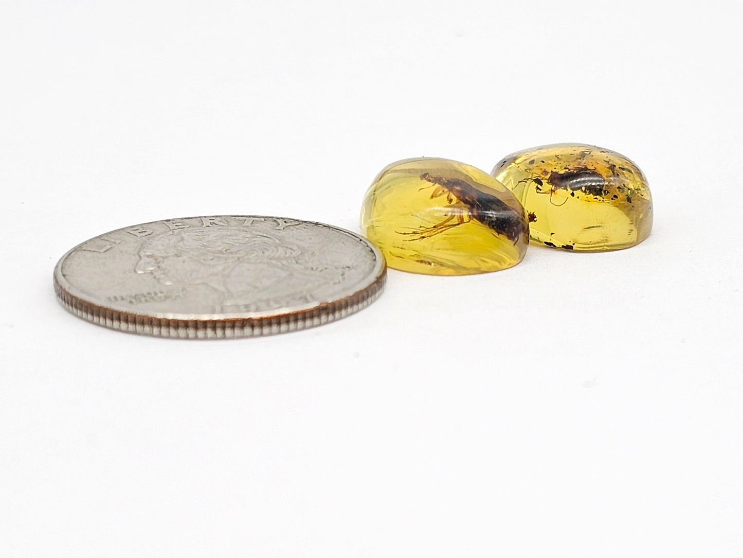 Real amber with insect inclusion pair