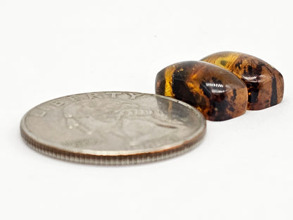 Amber cabochon pair | Artisan Cut Gemstone