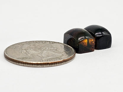 Amber cabochon pair | Artisan Cut Gemstone