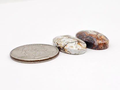 Mexican Crazy Lace Agate Pair Cabochons