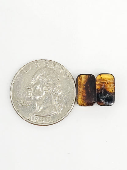 Amber cabochon pair | Artisan Cut Gemstone