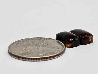 Amber cabochon pair | Artisan Cut Gemstone