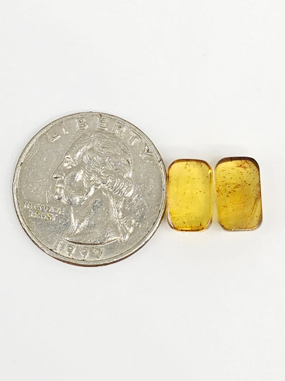 Amber cabochon pair | Artisan Cut Gemstone