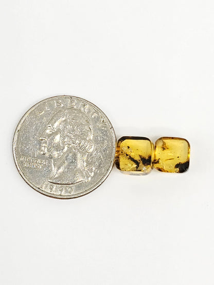 Amber cabochon pair | Artisan Cut Gemstone