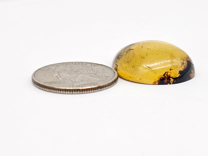 Amber cabochon | Artisan Cut Gemstone
