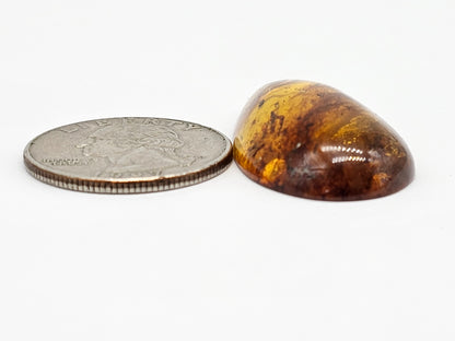 Amber cabochon | Artisan Cut Gemstone