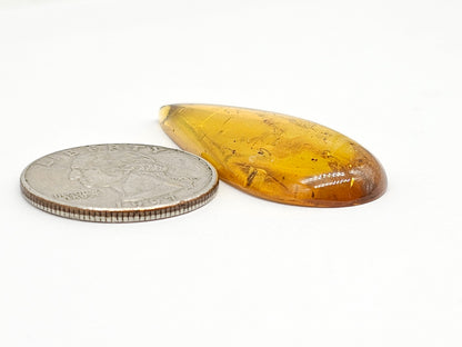 Amber cabochon | Artisan Cut Gemstone