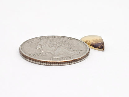 Scenic Dendritic Agate Cabochon – Natural Landscape Stone