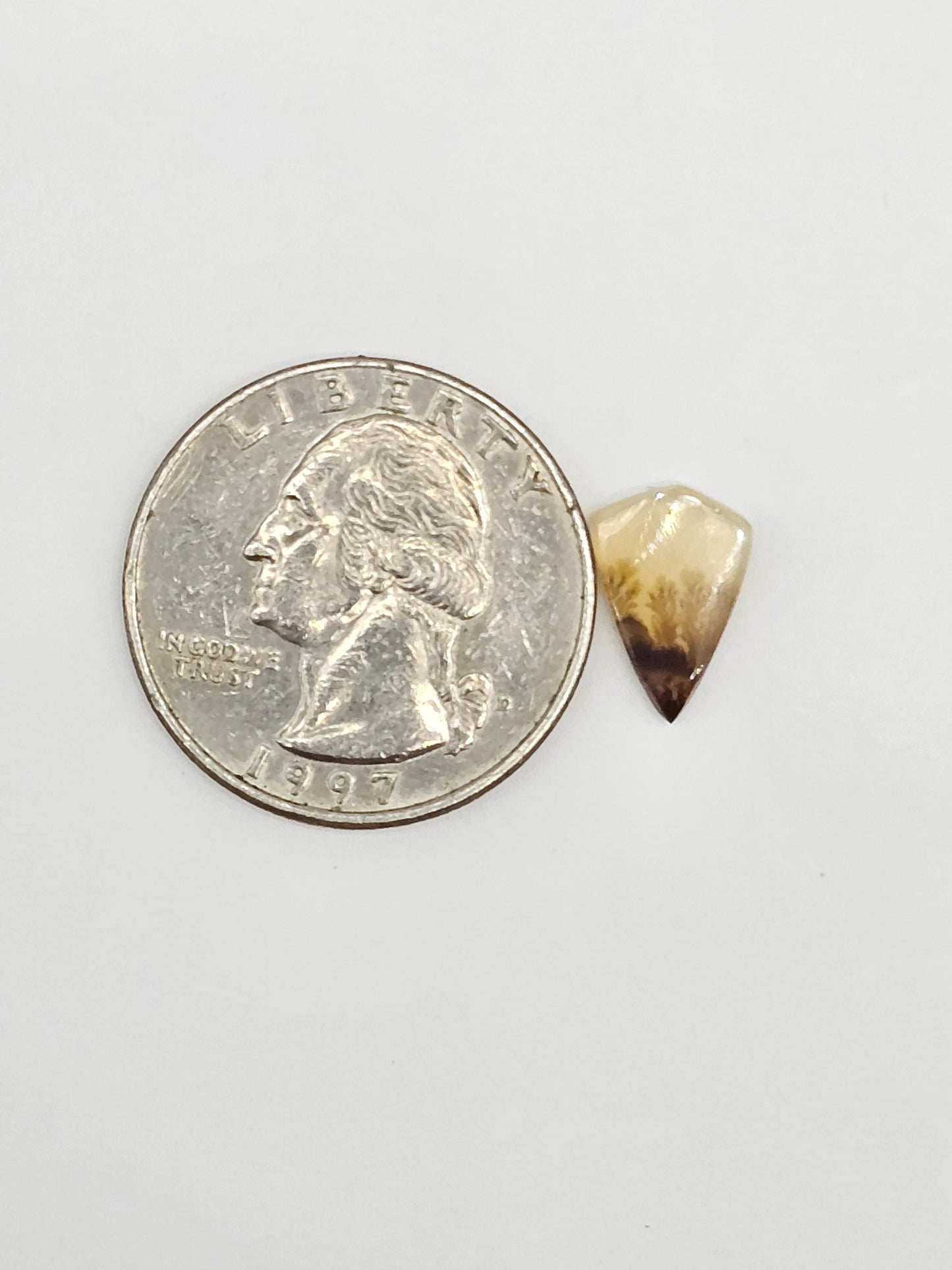 Scenic Dendritic Agate Cabochon – Natural Landscape Stone