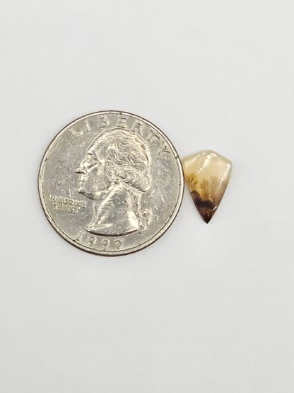 Scenic Dendritic Agate Cabochon – Natural Landscape Stone
