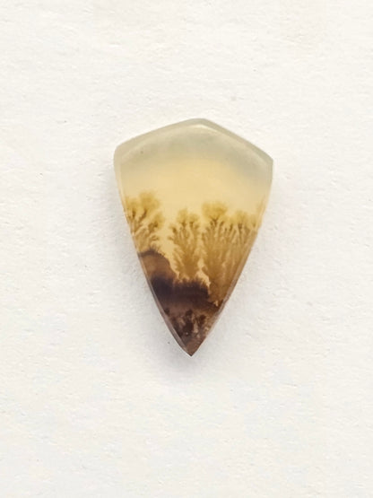 Scenic Dendritic Agate Cabochon – Natural Landscape Stone