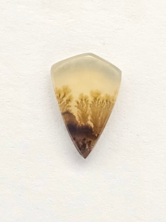Scenic Dendritic Agate Cabochon – Natural Landscape Stone